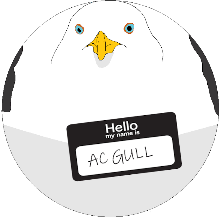 A spherical seagull drawing